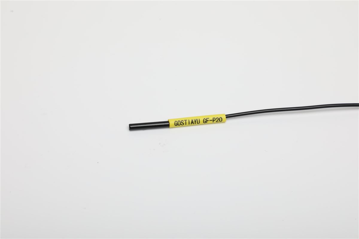 GF-P20_proc